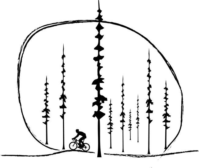 Bringázás